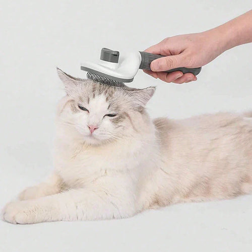 Hot-selling pet cat dog comb effective to remove floating hair comb pet dog hair cleaning pet supplies